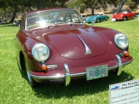 Rubarb 356.jpg